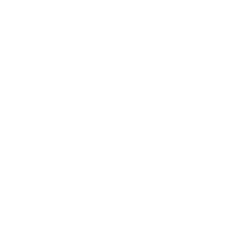 WHS — World Hail System